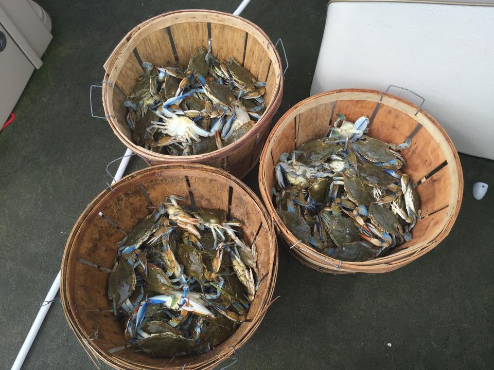fishing boat charter obx pontoon man 07